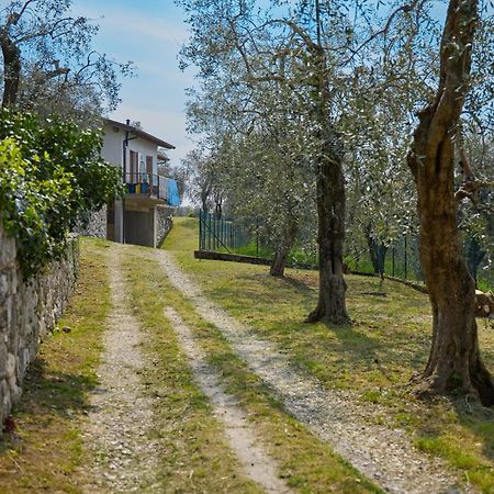 Bellavista Apartment 马尔切西内 外观 照片